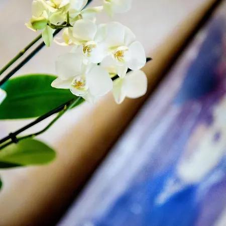 La Sainte Famille 4*